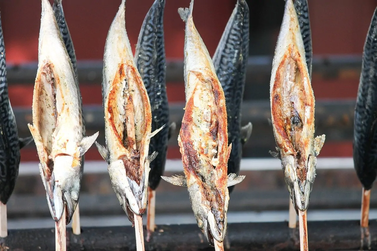 Top 10 fumoir à poisson > Les meilleurs en 2026