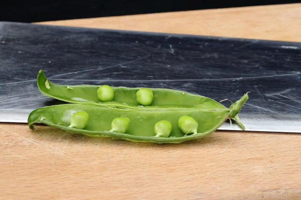 meilleur couperet cuisine