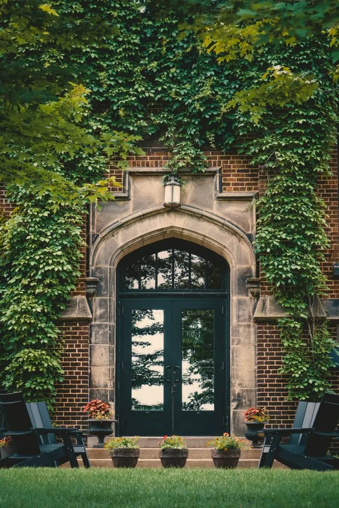 Meilleur carafe à eau en 2026