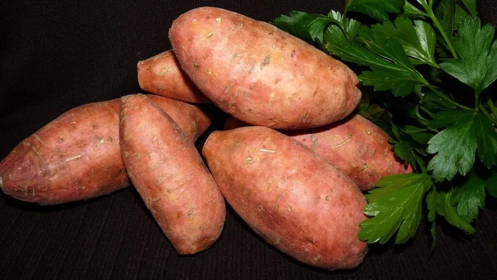 comment cuisiner la patate douce