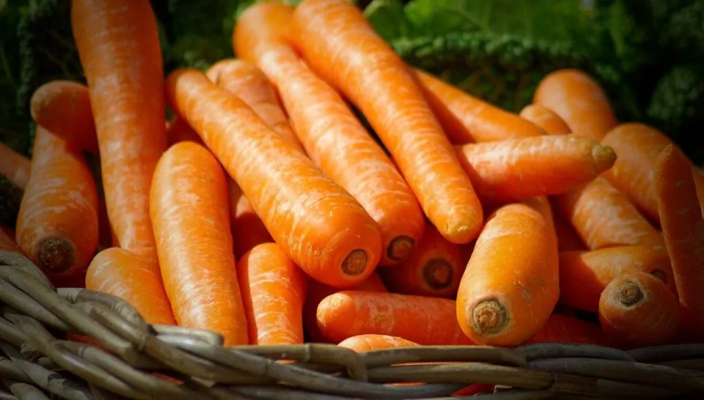 Comment faire un jus de carotte maison et profiter de ses bienfaits ?